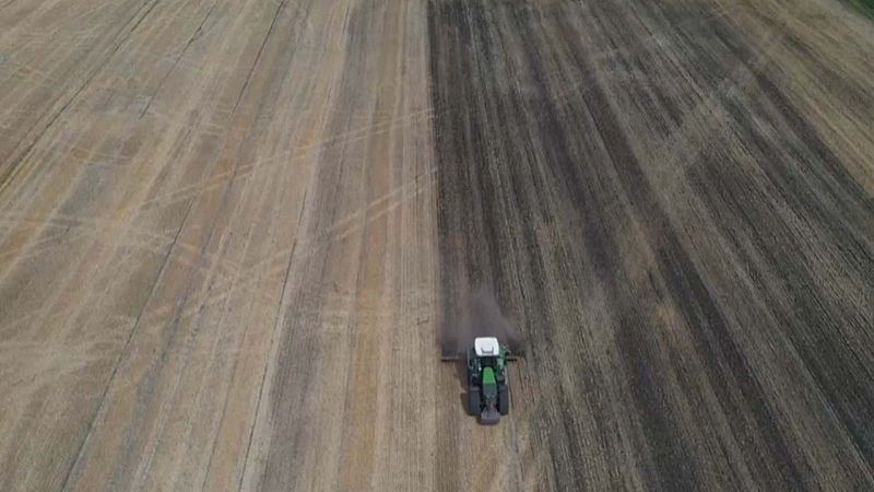 La crisis del cereal ucraniano pone a prueba el apoyo a Kiev de los países del este de Europa