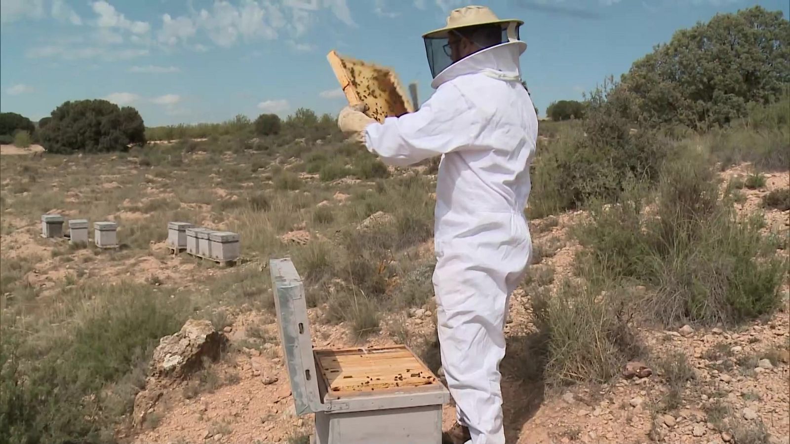 Aquí hay trabajo - 25/09/23 - ver ahora