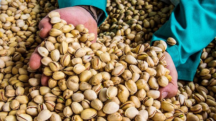 Telediario 1 - Pistacho, cultivo rentable y sostenible: España aspira ser el cuarto productor mundial