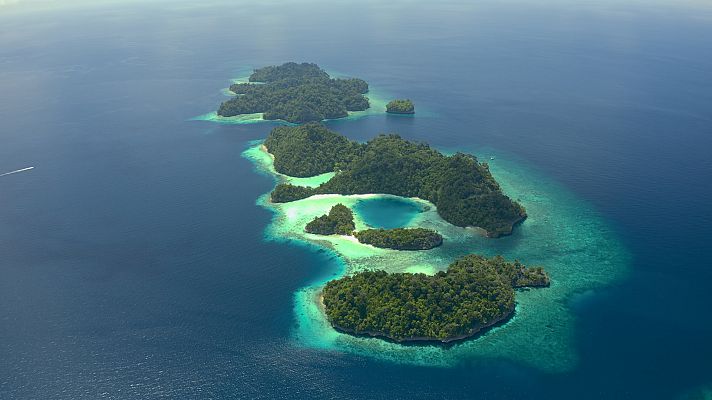 El círculo mágico del arrecife - El paraíso de coral