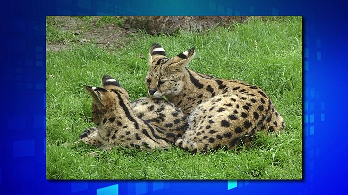 Saber y ganar - Saber y ganar - 28/09/23