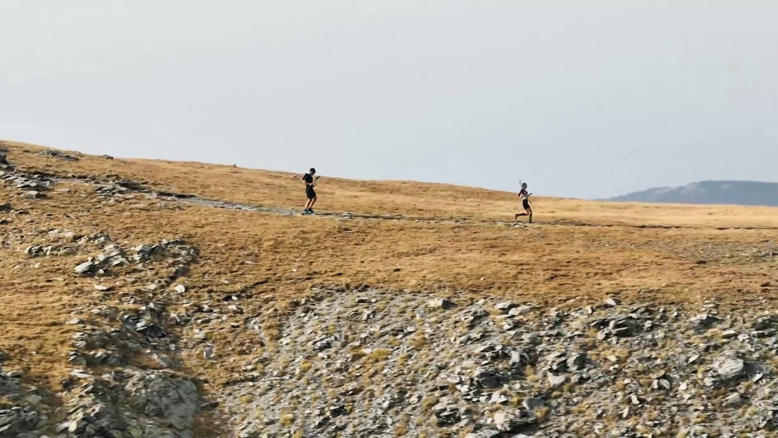 Evasión - Programa 17 - ver ahora