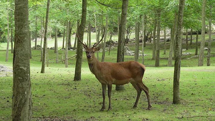 Ahora o nunca - Programa 175