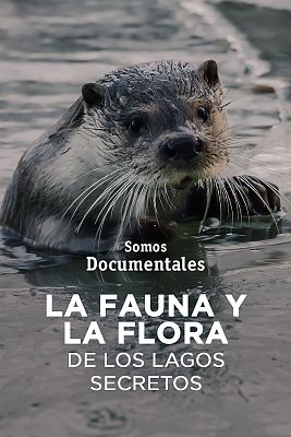 Somos Documentales - Somos documentales - La fauna y la flora de los lagos secretos