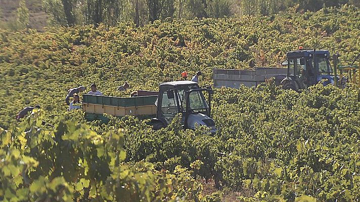 Agrosfera - Agrosfera - 30/09/23