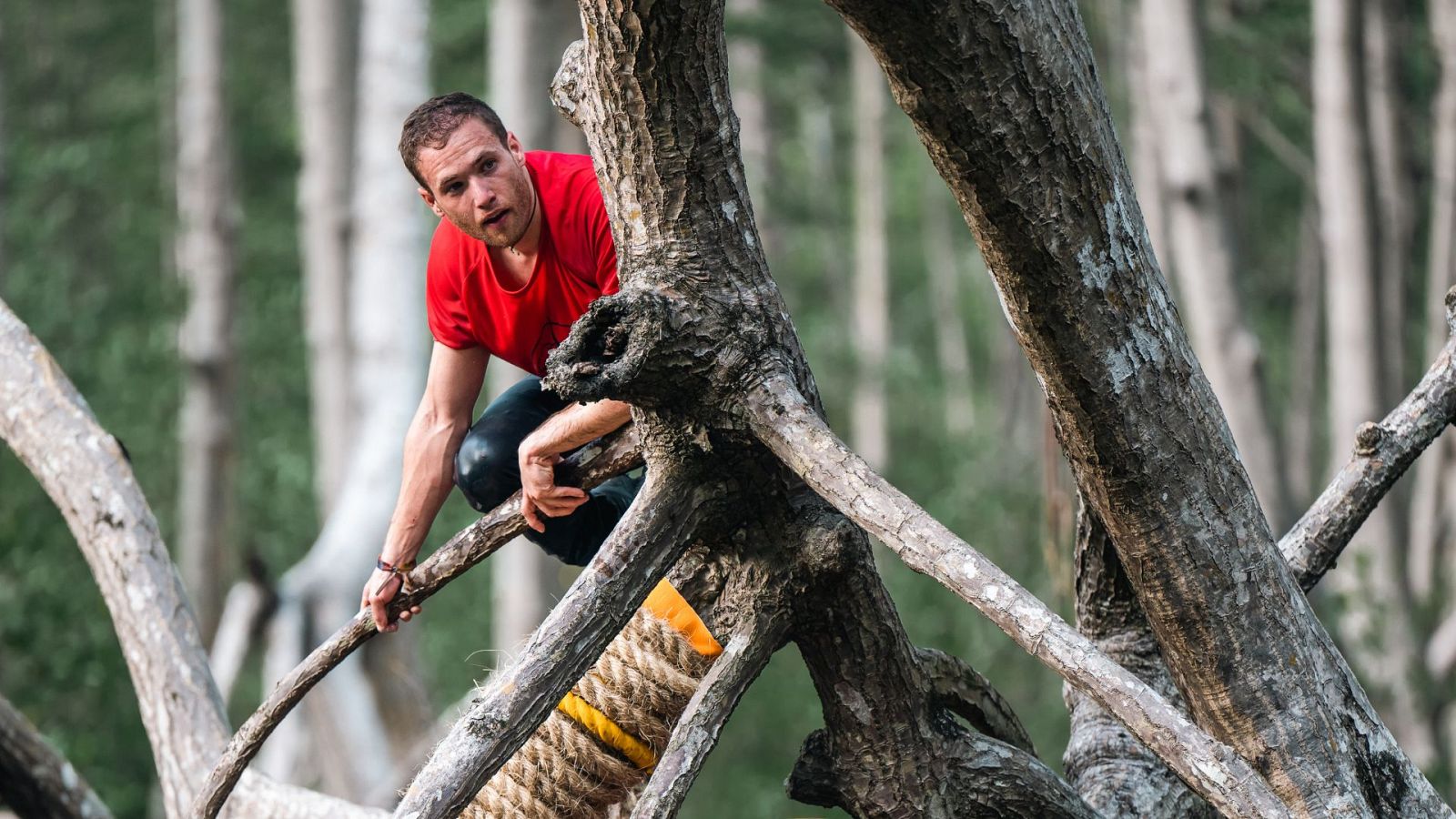 Polémica con los Yocahu, ¿quién tiro la probeta?