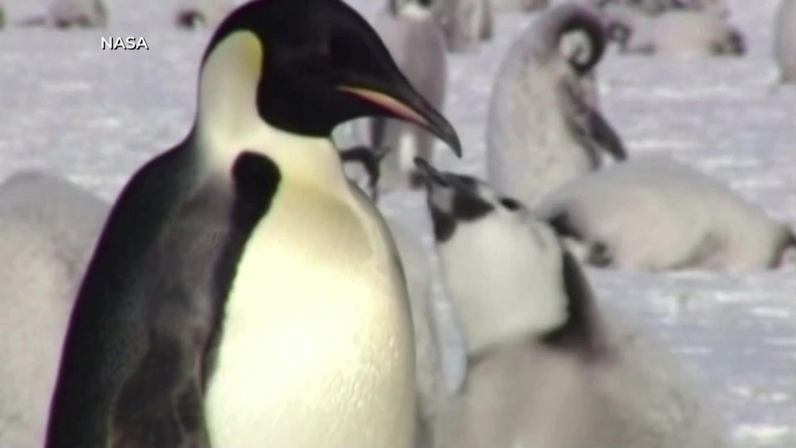 Aquí la Tierra - 02/10/23 - ver ahora