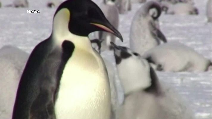 Aquí la Tierra - Aquí la Tierra - 02/10/23