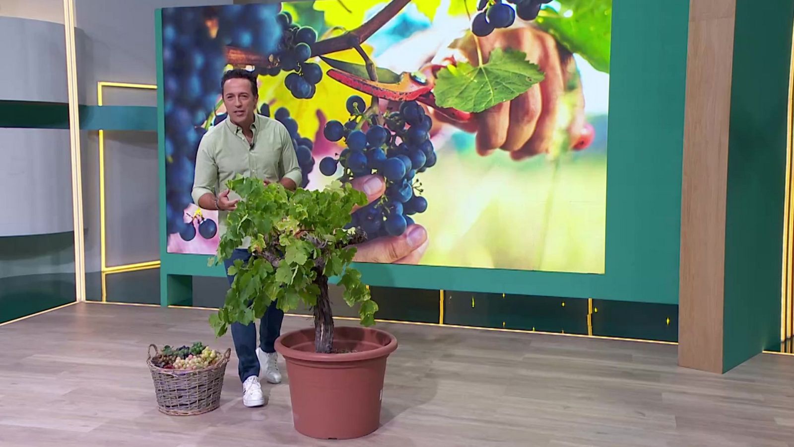 Aquí la Tierra - 03/10/23 - ver ahora