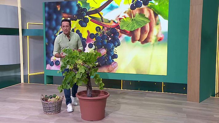 Aquí la Tierra - Aquí la Tierra - 03/10/23