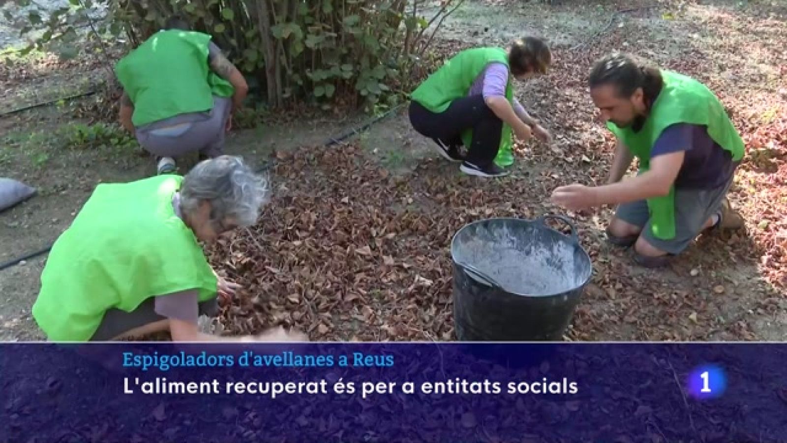 Espigolar: una activitat que ha repartit 200 racions d'aliment fresc durant aquest estiu