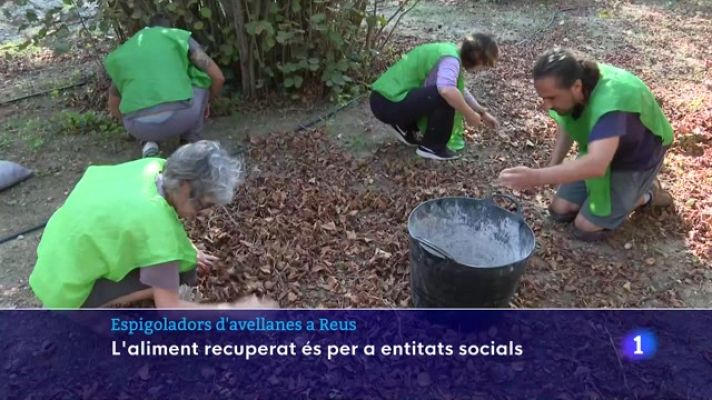 L'Informatiu - Espigolar: una activitat que ha repartit 200 racions d'aliment fresc durant aquest estiu