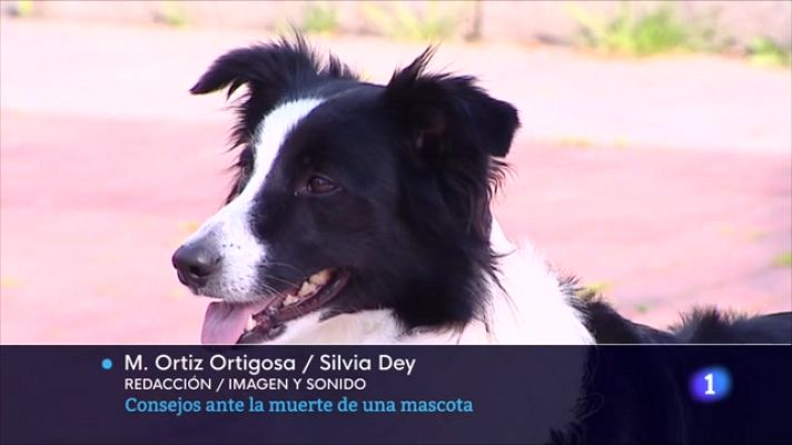 Informativo Telerioja - Informativo Telerioja 2 - 05/10/23