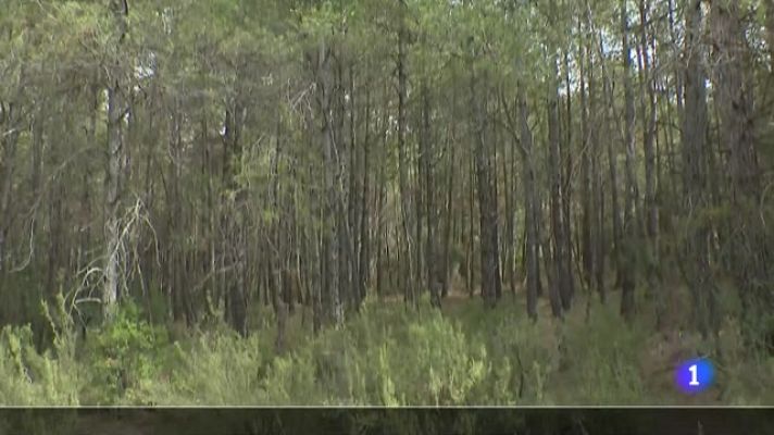 L'Informatiu - L'Informatiu 2 - 06/10/2023