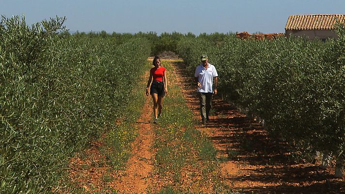 El escarabajo verde - Daimiel, convertir el agua en vino