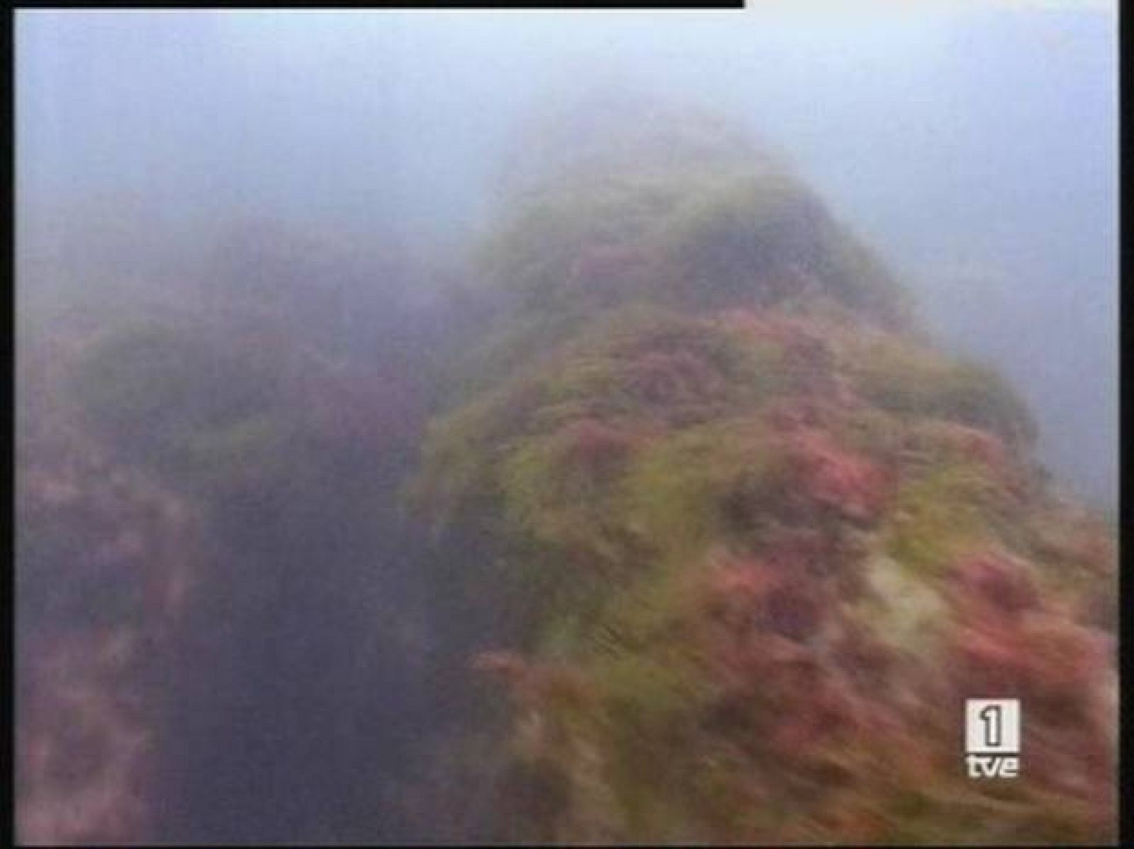 España confirma que el navío del caso Odyssey es la fragata Nuestra Señora de las Mercedes | Ver