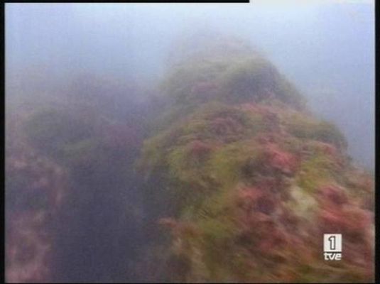  - El tesoro de Odyssey es español