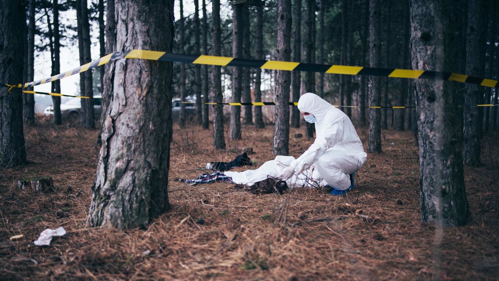 ¿Por qué enganchan tanto las series del género 'true crime'? | Ver