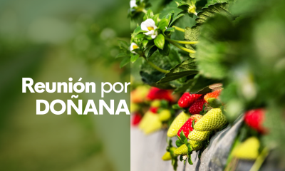 Cita entre Junta de Andaluc�a y Gobierno Central - Ver ahora