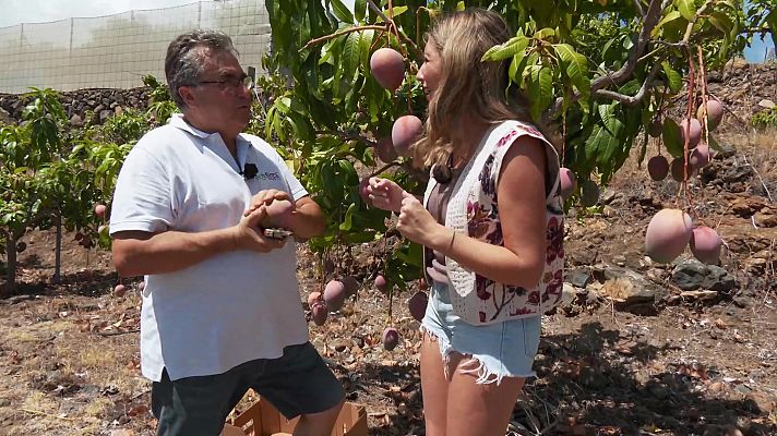 Aquí la Tierra - Aquí la Tierra - 09/10/23