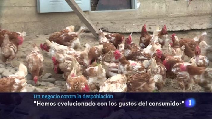 Informativo Telerioja - Informativo Telerioja 2 - 11/10/23