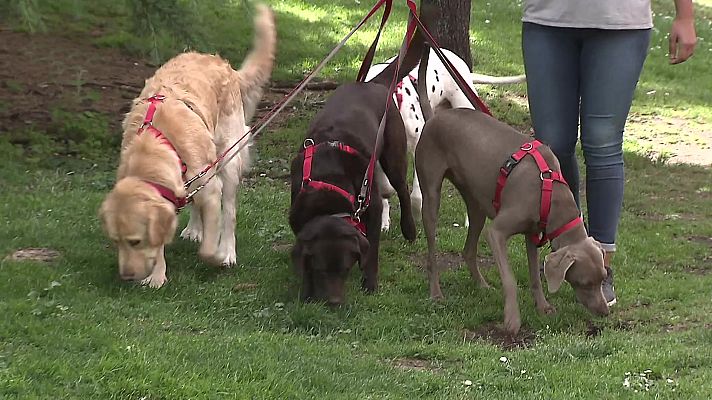 Aquí hay trabajo - Aquí hay trabajo - 13/10/23