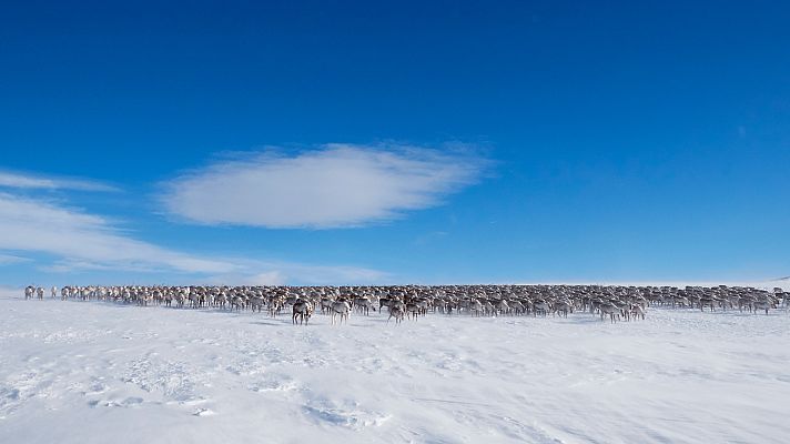Nacidos de la tormenta - Fuera de la oscuridad