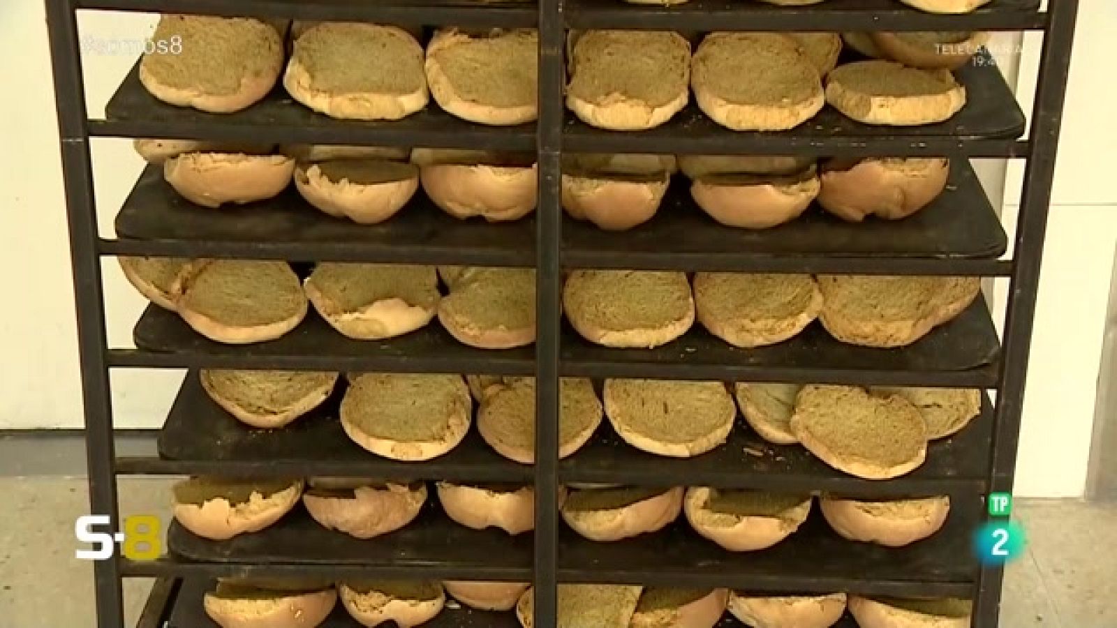 Somos 8 - 16/10/2023 | Magazine de la actualidad canaria - Somos 8 | Ver