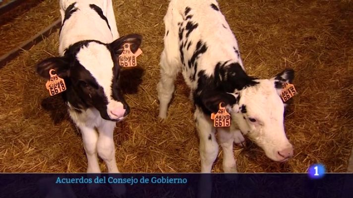 Informativo Telerioja - Informativo Telerioja 2 - 17/10/23