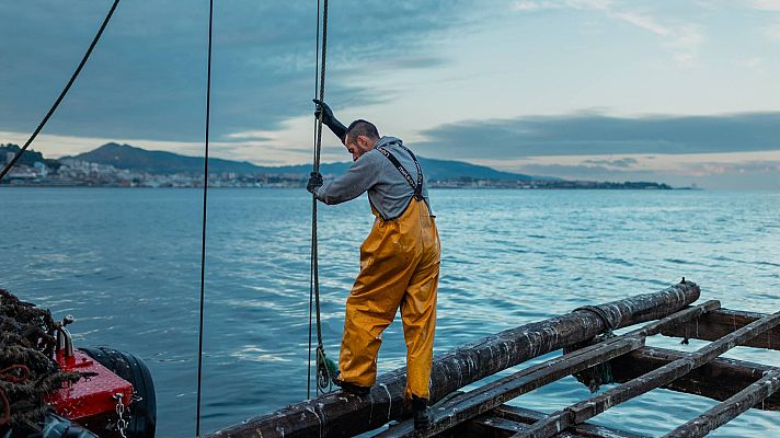 Telediario 1 - Galicia utiliza Inteligencia Artificial a través de drones para controlar los bancos de cría de mejillón