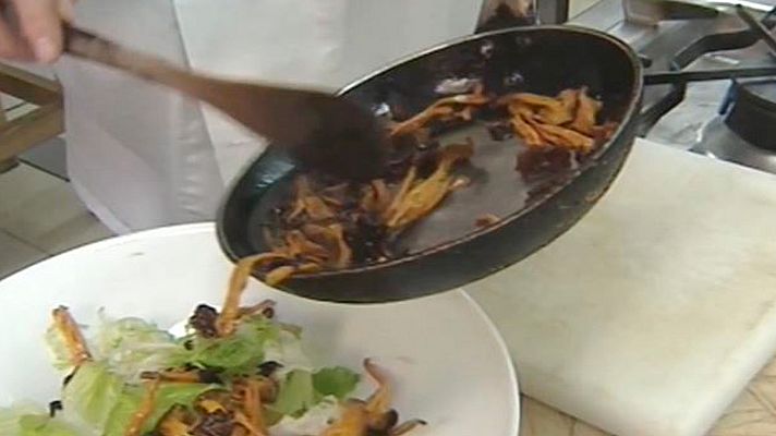 Catalunya avui - 12 Jornades Gastronòmiques del Bolet al Pont de Suert