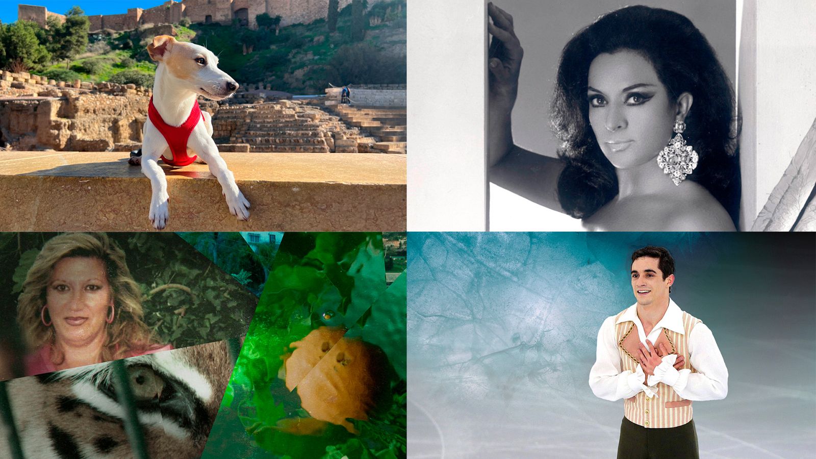 Somos documentales - RTVE Docs, el nuevo canal de temático de Play - Ver ahora