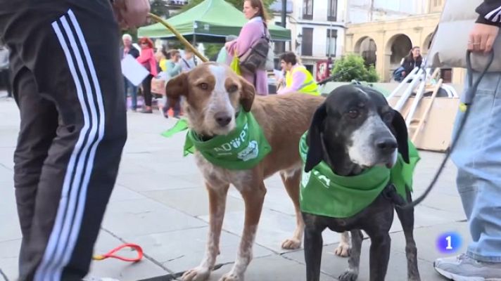 Informativo Telerioja - Informativo Telerioja  - 23/10/23
