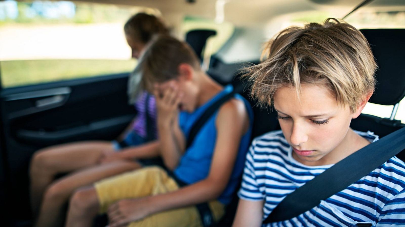 Científicos españoles identifican la neurona que desencadena los mareos al viajar en coche o barco