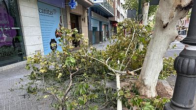El temporal de viento y lluvia deja un fallecido en C�rdoba por el impacto de una placa met�lica | Ver
