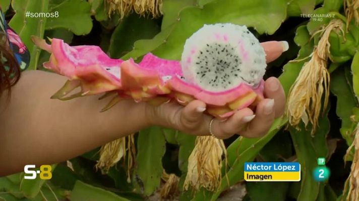 Somos 8 - Somos 8 - 23/10/2023