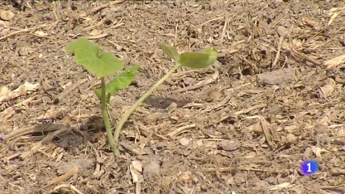 L'informatiu - Comunitat Valenciana - L'Informatiu Comunitat Valenciana 2 - 24/10/23