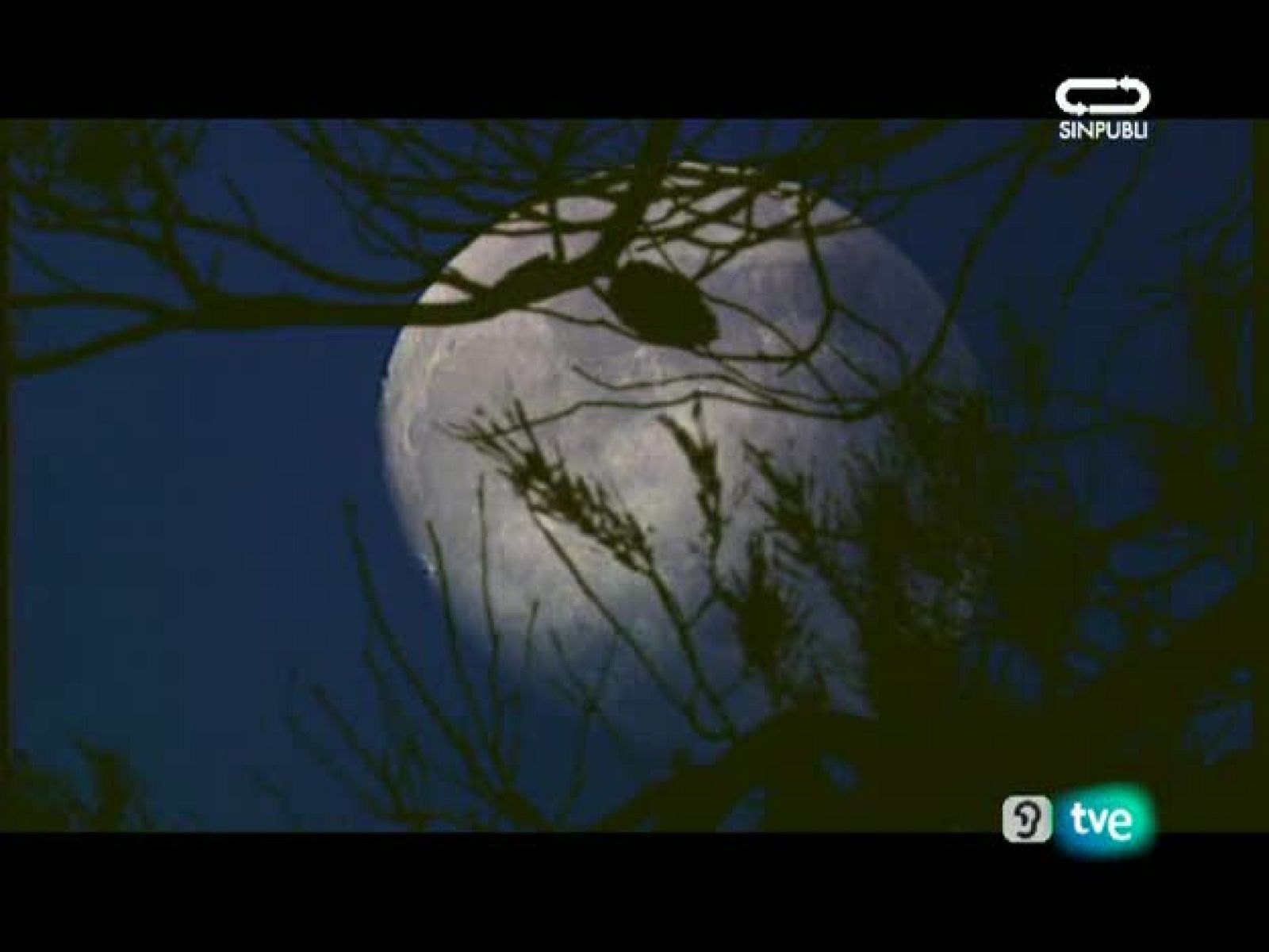 Jara y sedal - Caleruega paraíso cetrero - Jara y sedal | Ver