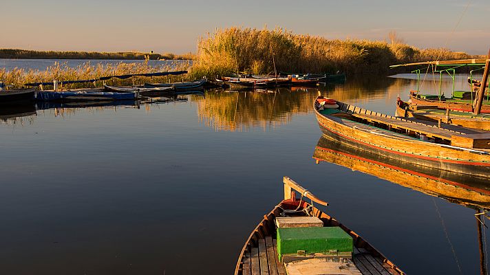 Telediario 1 - Las aguas de la Albufera de Valencia se tiñen de rojo