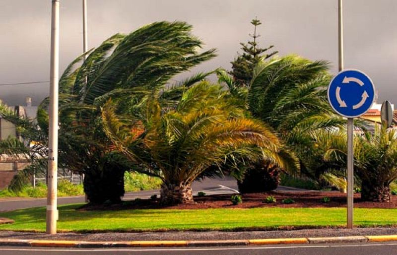 El viento azota a Canarias | Ver