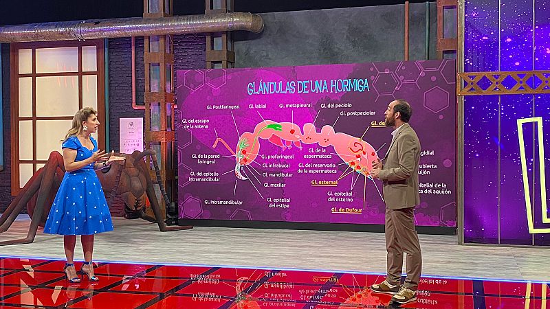 Órbita Laika - T9 - Programa 6: Hormigas