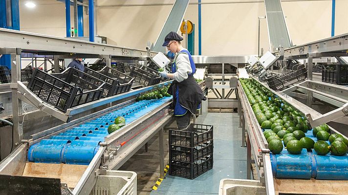 Telediario 1 - España supera por primera vez los 21,2 millones de ocupados en el tercer trimestre