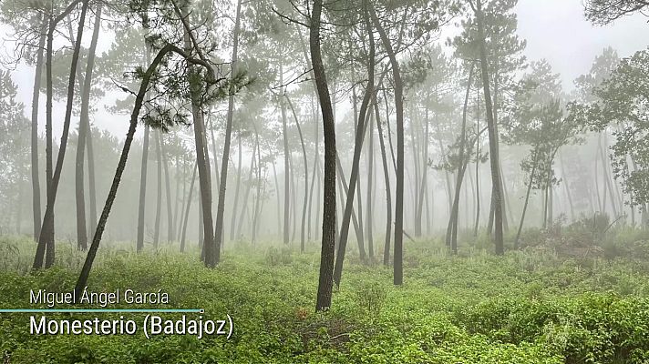 El tiempo - Precipitaciones localmente fuertes o persistentes en áreas del noroeste peninsular, del Cantábrico y Pirineos