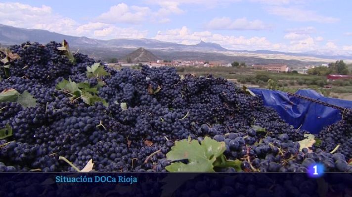 Informativo Telerioja - Informativo Telerioja  - 27/10/23