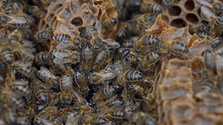 Reduce tu huella - Gêres-Xurés: donde el tiempo se detuvo