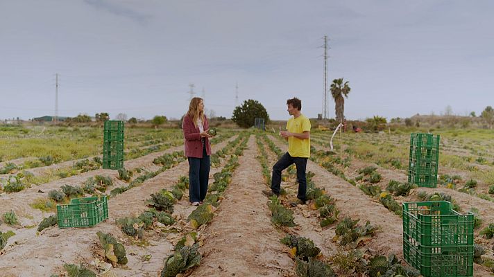 Planeta R - Una segona oportunitat a la fruita i verdura imperfecta