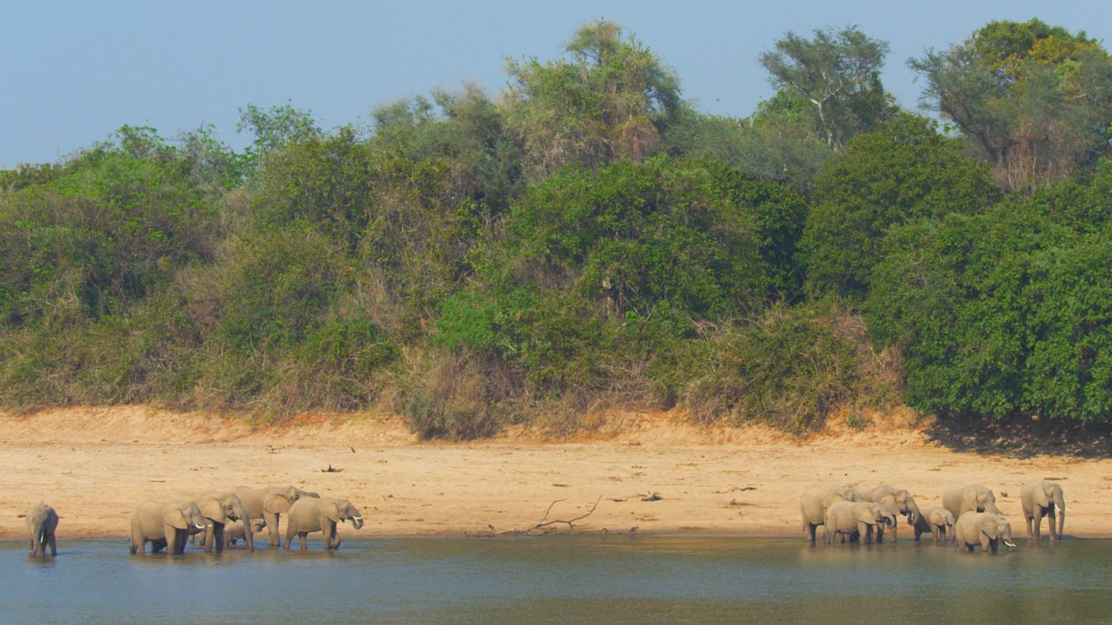 Zambia salvaje - Episodio 7: Chilema y su hermano - ver ahora