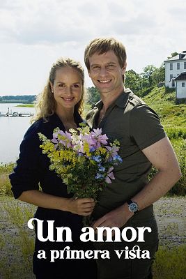 Cine internacional - Un amor a primera vista