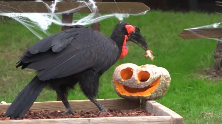 Aquí la Tierra - Aquí la Tierra - 01/11/23