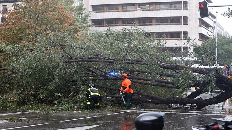 Telediario 1 en cuatro minutos - 01/11/23 - Ver ahora